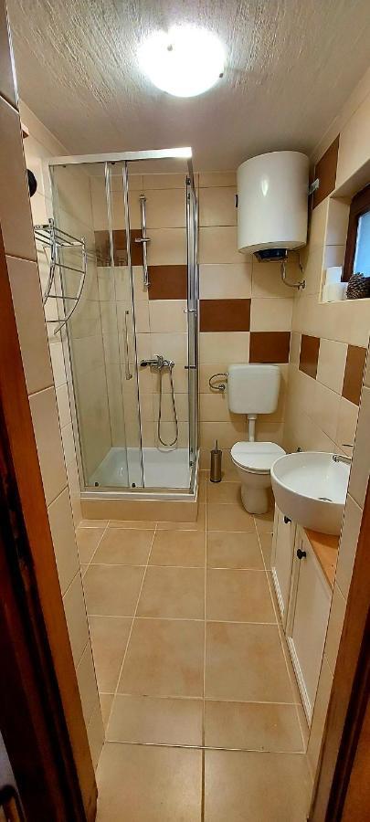 Studio Apartman Buteo Jastrebarsko Extérieur photo