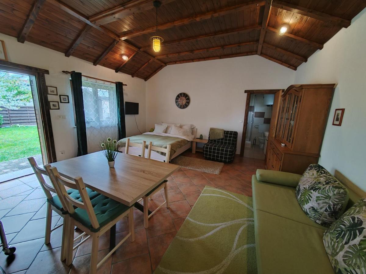 Studio Apartman Buteo Jastrebarsko Extérieur photo